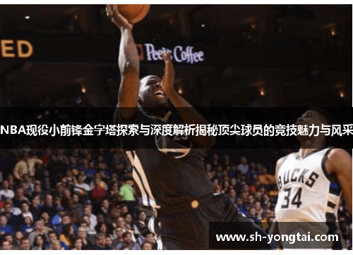 NBA现役小前锋金字塔探索与深度解析揭秘顶尖球员的竞技魅力与风采